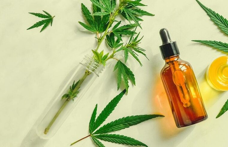 Anvisa libera três produtos a base de cannabis; veja quais são