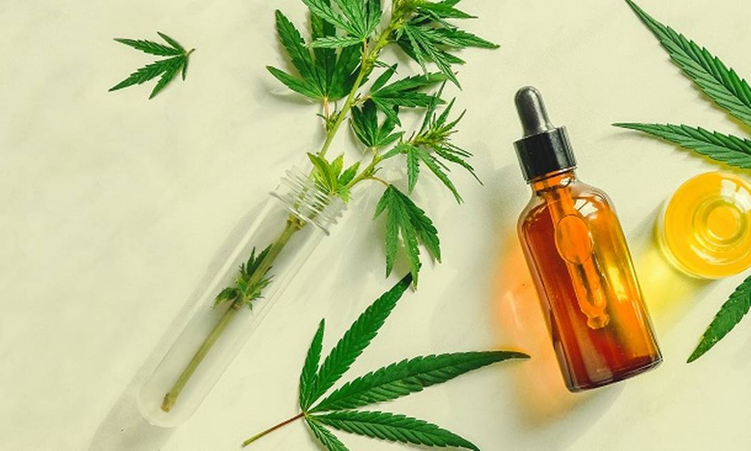 Anvisa aprova mais três produtos de Cannabis para uso medicinal