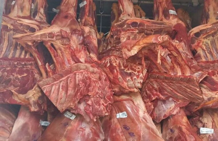 Carga irregular de carne bovina de MT é interceptada em Rondônia
