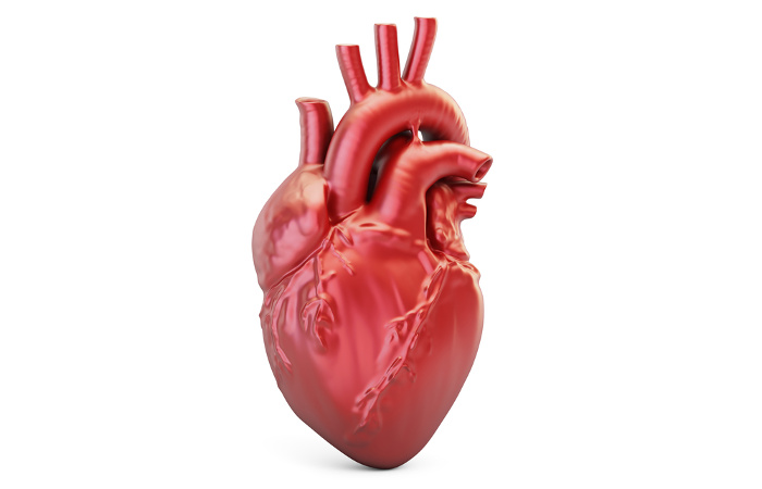 Tecnologia e inteligência artificial se tornam aliadas da cardiologia