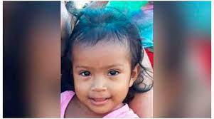 Menina de 3 anos morre após pilha de madeira cair sobre ela no Pará