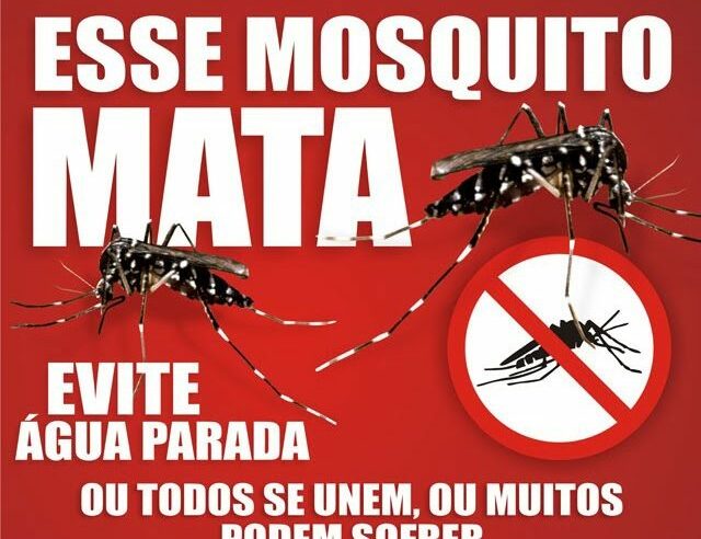 Novo inseticida traz esperança para controle da dengue