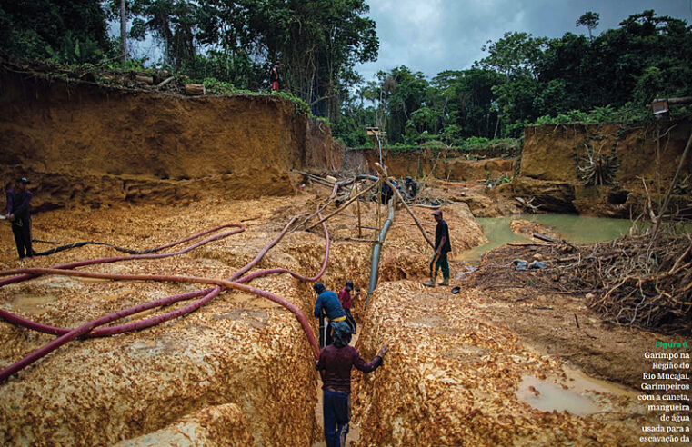 Operação desocupa garimpo de ouro ilegal em terra indígena em MT e bloqueia acessos