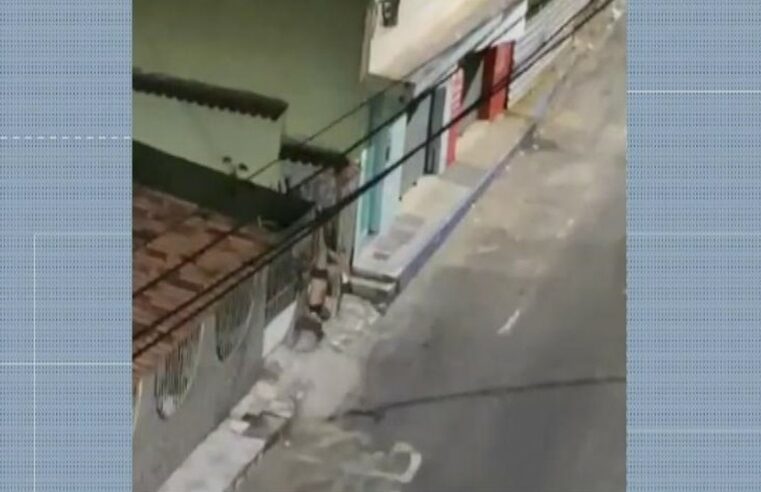 Homem tenta invadir casa, fica preso em portão pela calça e foge de cueca