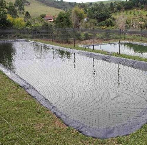 Corpo de homem é encontrado em tanque de peixe em fazenda