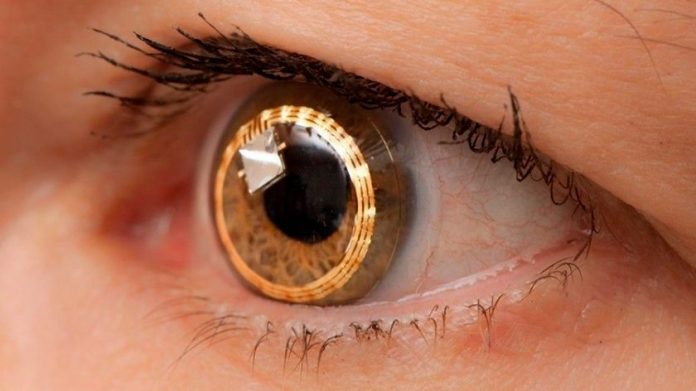 Cientistas criam retina artificial que permite que cegos voltem a enxergar