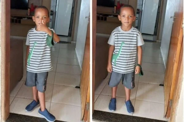 Menino de 5 anos morre após ser picado por escorpião