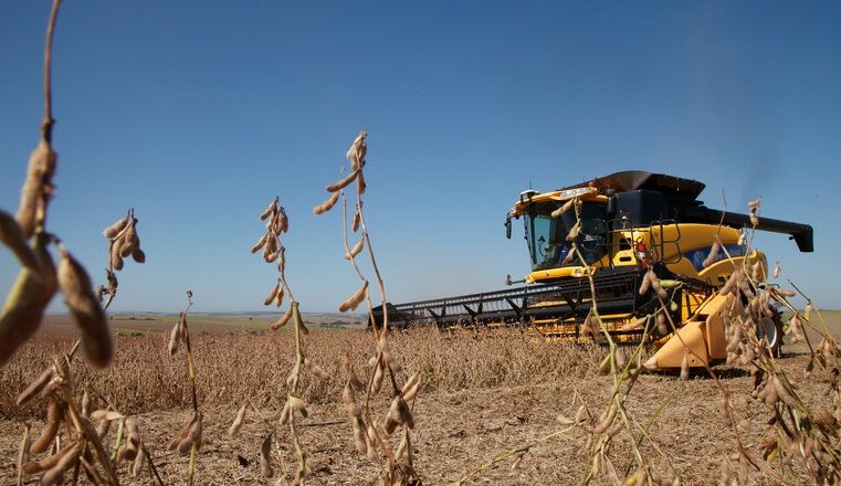 Empresa abre mais de 300 vagas de trabalho temporário em Mato Grosso