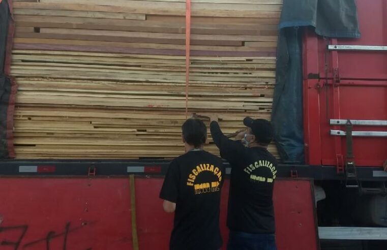 Indea apreende 39 caminhões de madeira irregular no mês de novembro