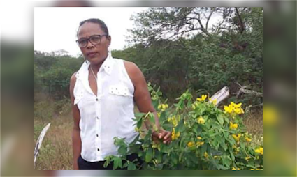 Mulher morre após sofrer choque elétrico enquanto lavava roupas em Serrinha