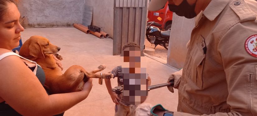 Cão com cadeado preso nas patas é libertado pelos bombeiros em Rondonópolis