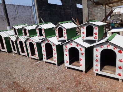 Presos fabricam casas de pets de madeira e doam para instituições
