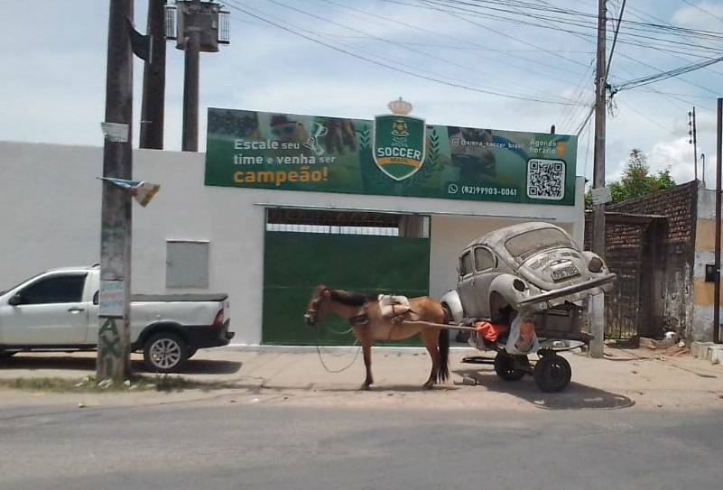 Carroceiro é preso após forçar égua a carregar carcaça de veículo