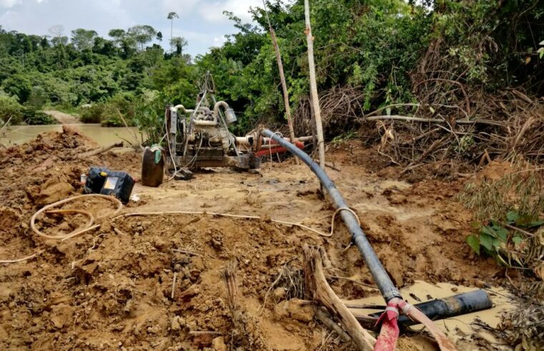 Garimpeiros “ostentam” ouro retirado de serra em MT