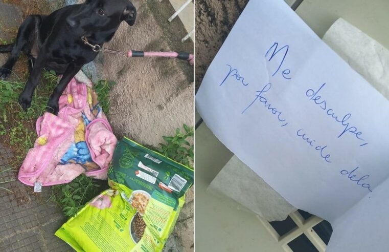 Família adota cadela abandonada com ração e pedido de desculpas em bilhete: ‘Meu coração ficou pequenininho’, diz dona