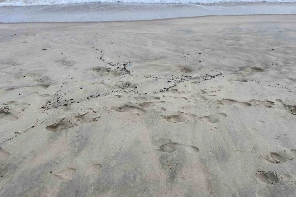 Manchas de óleo atingem 10 praias do Ceará; Marinha e Ibama investigam