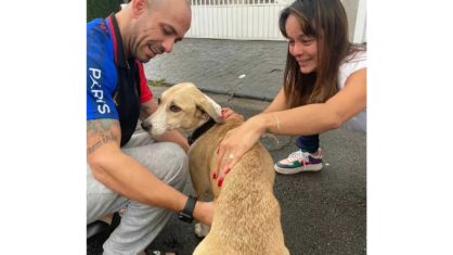 SP: Cachorra Pandora é encontrada e devolvida ao dono após 45 dias em aeroporto