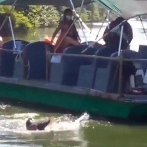 Homem se nega a usar máscara e joga condutor de balsa em canal