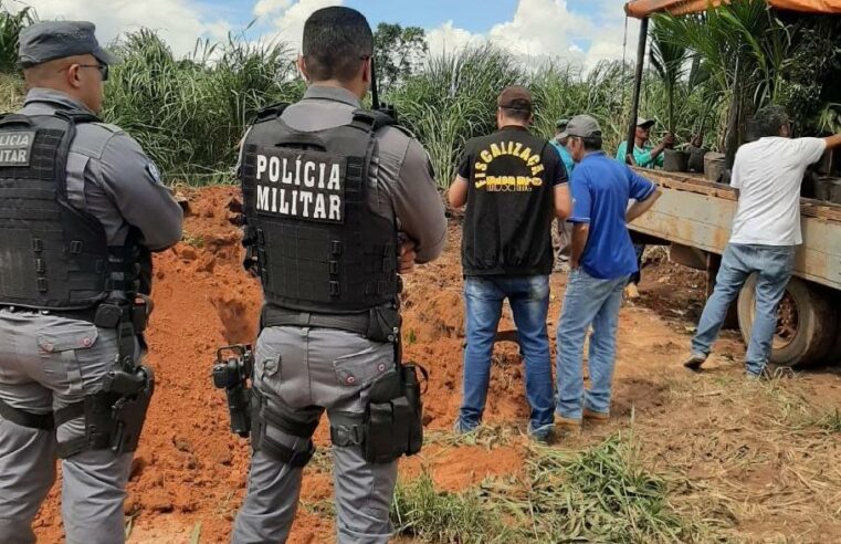 Indea alerta que venda ambulante de mudas e sementes ameaça a agricultura de MT