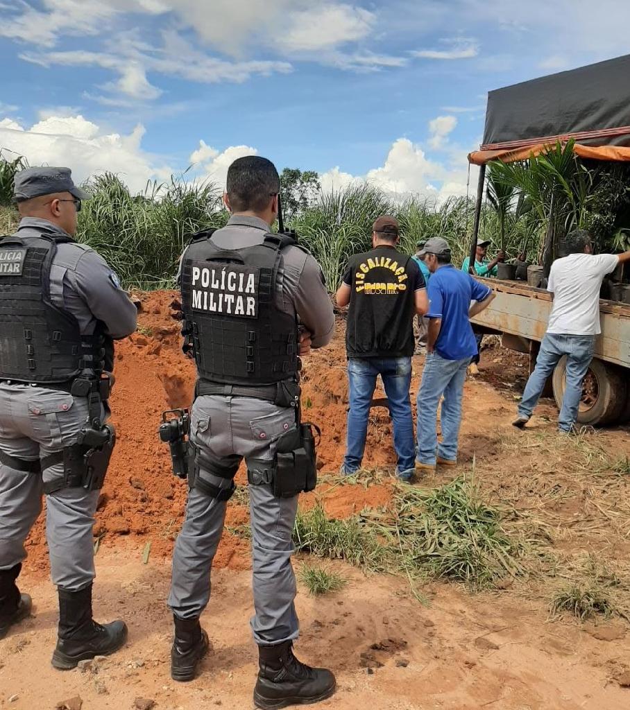 Indea alerta que venda ambulante de mudas e sementes ameaça a agricultura de MT