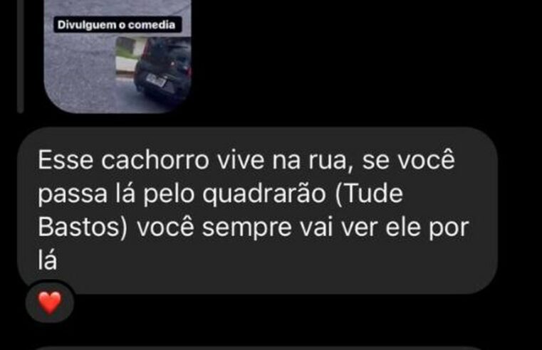 Cachorro segue carro durante corrida de aplicativo e motorista é ameaçado após fake news de abandono na web