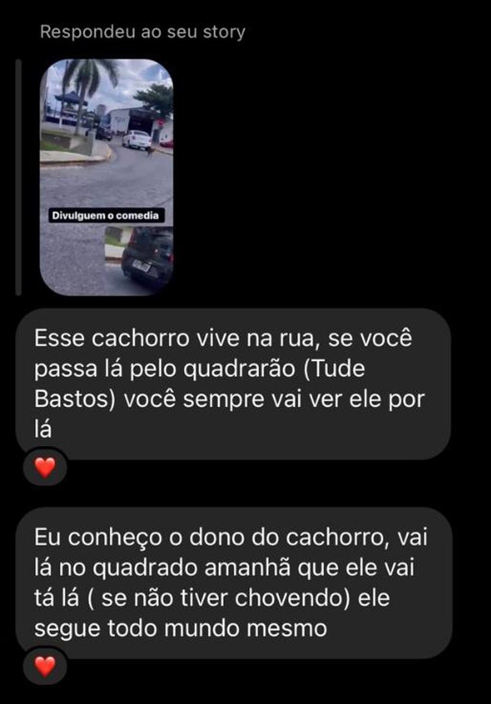 Cachorro segue carro durante corrida de aplicativo e motorista é ameaçado após fake news de abandono na web