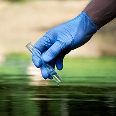 Pesquisadores criam vacina mais duradoura contra cólera