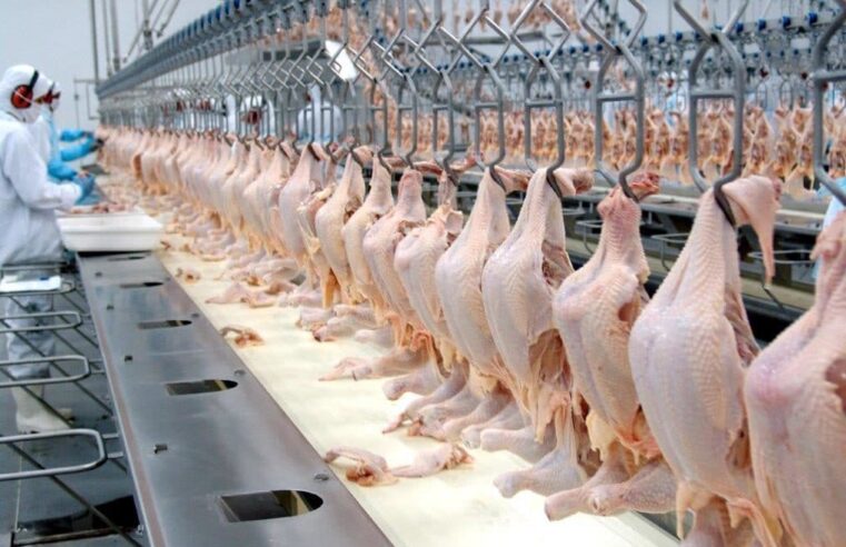 China suspende a importação de frango de dois frigoríficos brasileiros