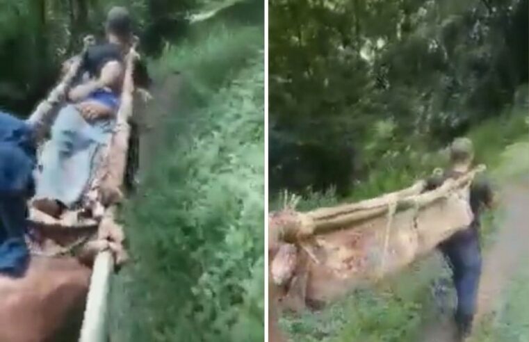 Sem estrada, menino é transportado até por burro antes de chegar a hospital no interior de SP