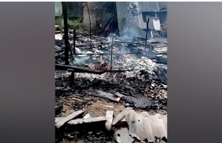 Seis cães morrem queimados em suposto incêndio criminoso em Curitiba