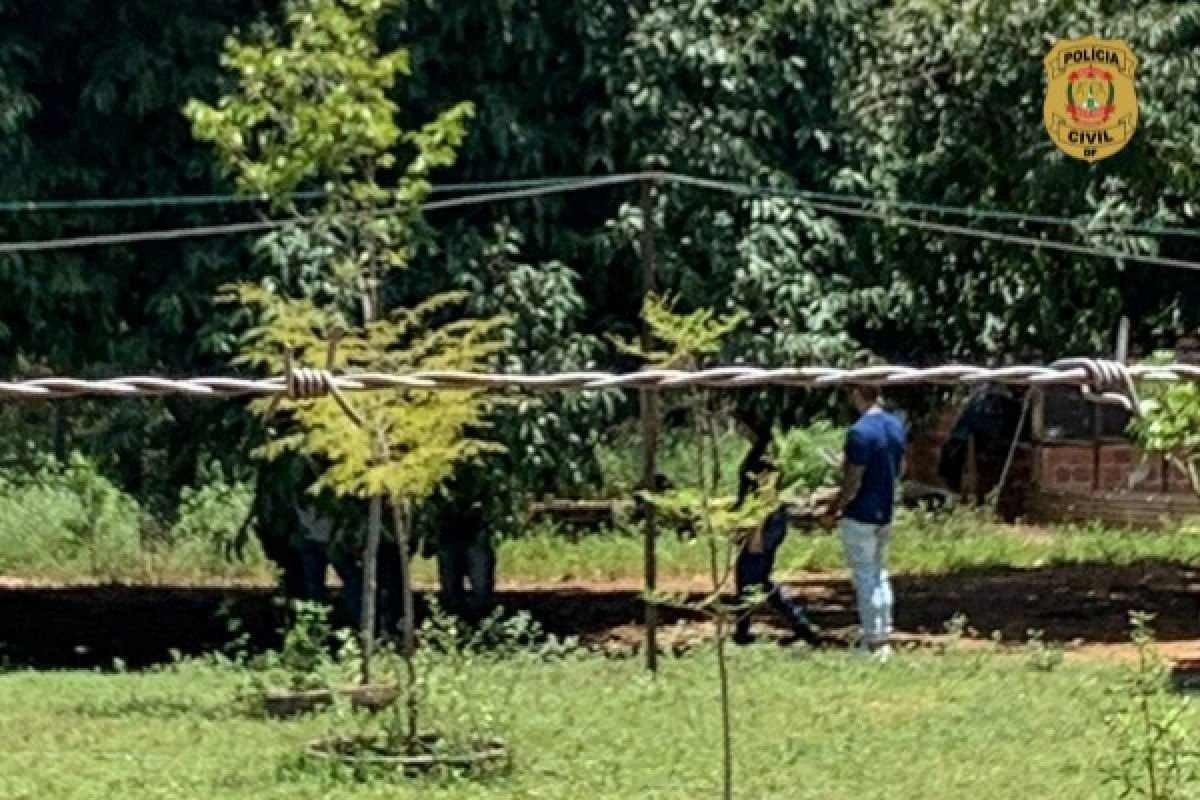 Filho torturava a mãe de 70 anos com anzóis e a dopava com medicamentos