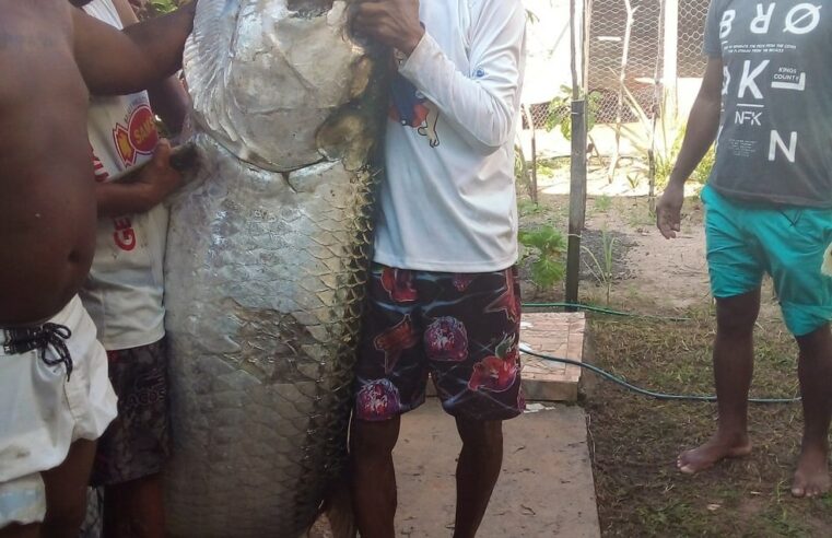 Pescador captura peixe de mais de 100 quilos no litoral do RN: ‘Foi luta pra tirar da água’