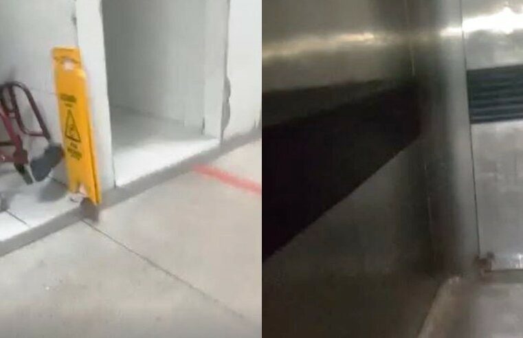 Rato provoca gritaria ao ser flagrado ‘passeando’ em hospital de SP