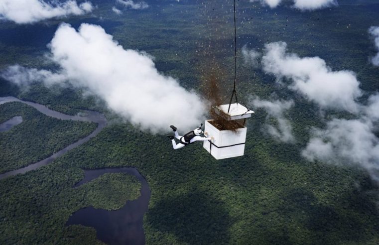 Paraquedista lança mais de 100 milhões de sementes em área desmatada da Amazônia