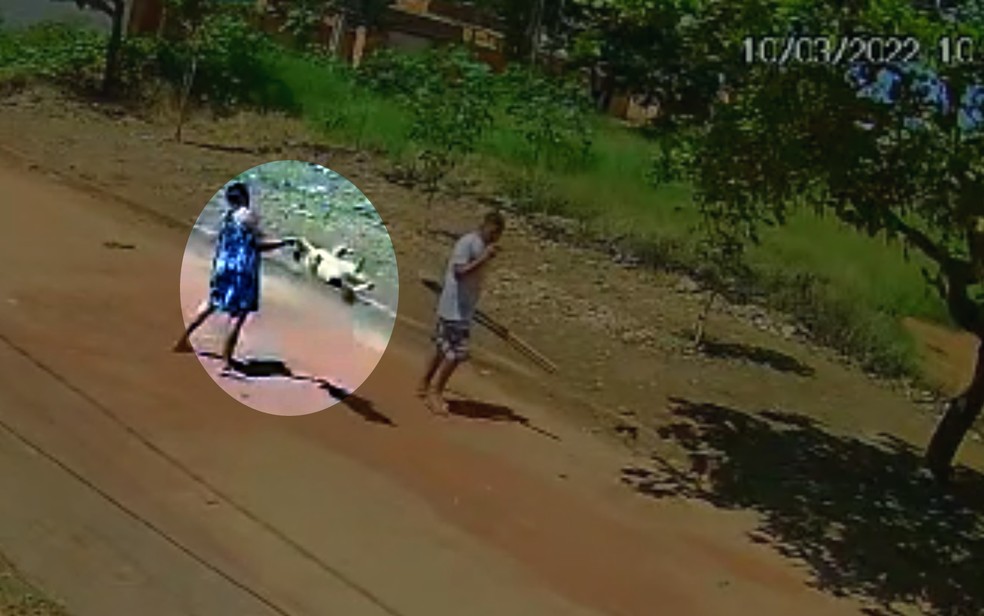 Mulher puxa cachorro pela coleira e o arremessa contra o chão em rua de Santo Antônio do Descoberto