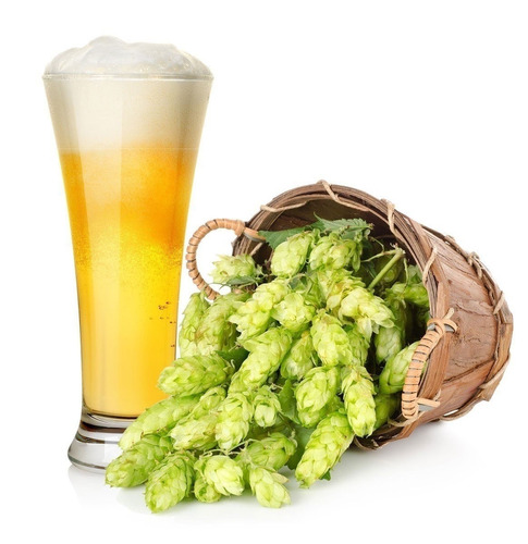 Cadeia do lúpulo ganha reforço para melhorar a produção de cerveja no país