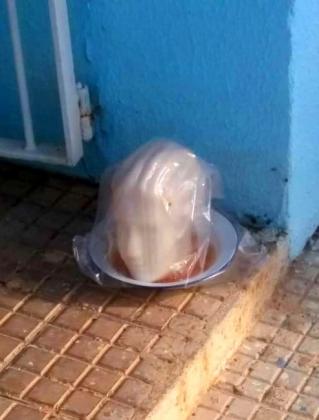 ‘Mandiga’ com ‘cabeça humana’ em porta de igreja apavora moradores do interior