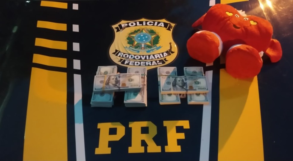 PRF encontra 80 mil dólares escondidos dentro de brinquedo de pelúcia no RS