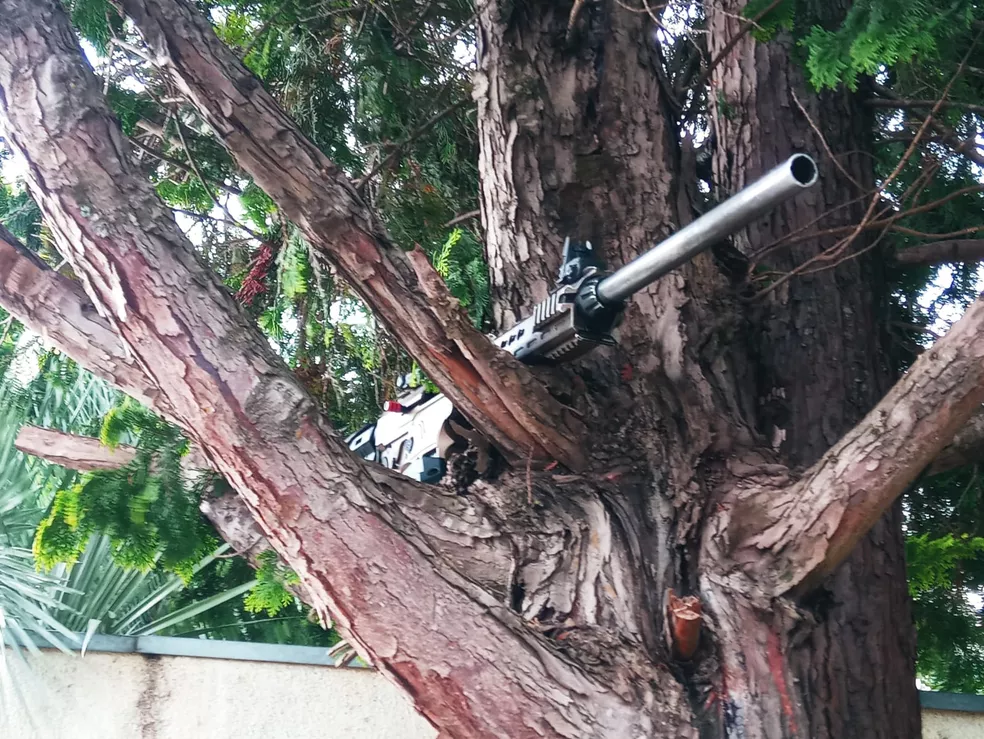 Arma de alto calibre é abandonada em árvore após ataque a empresa de valores, em Guarapuava