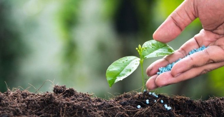 Ação em MT e MS visa coibir a subtração e desvio de fertilizantes
