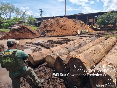 Empresário é preso por explorar madeira de terra indígena em MT