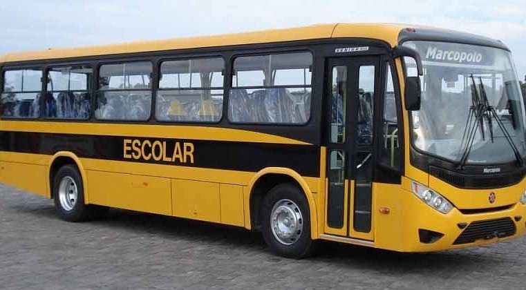 Motorista de transporte escolar será obrigado a apresentar exame toxicológico