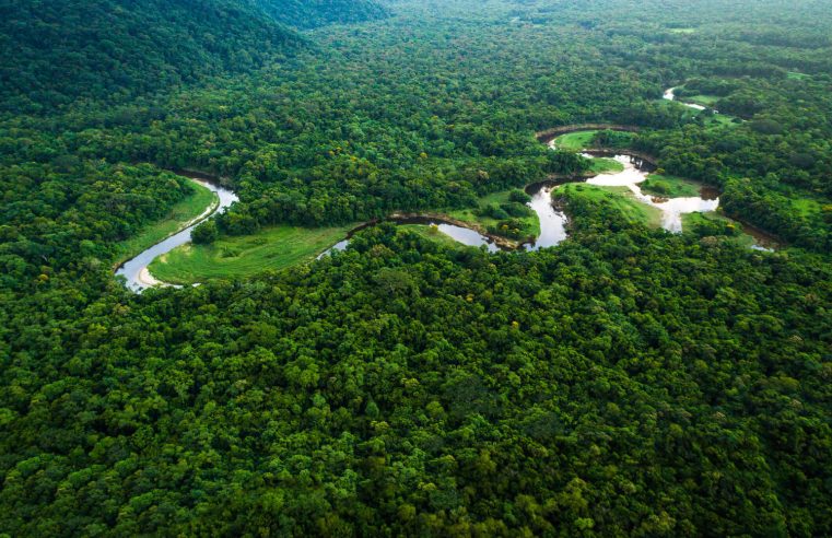 Facebook identifica militares como ‘chefes’ de perfis com desinformação sobre Amazônia