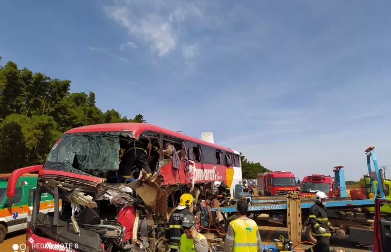 Acidente grave entre ônibus e carreta deixa 11 mortos na BR-163 em MT