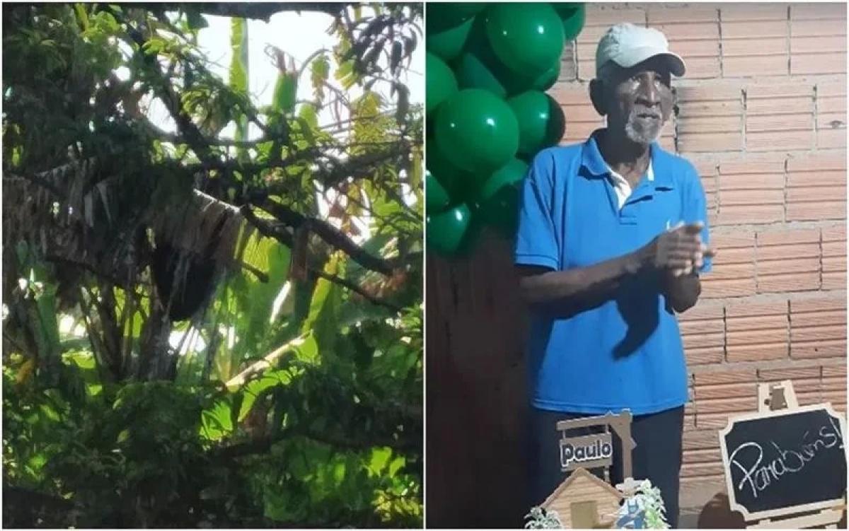 Homem, de 85 anos, morre em GO com mais de 500 picadas de abelhas
