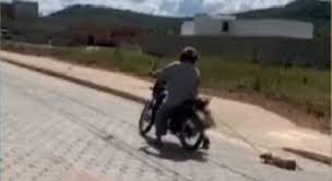 Idoso é preso por arrastar cão com moto por ruas de MG