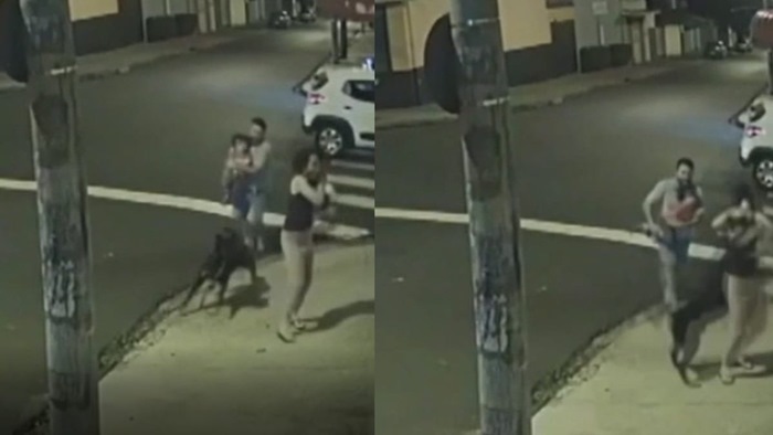 Rottweiler salta de carro em movimento e ataca mulher com cão e filho em SP