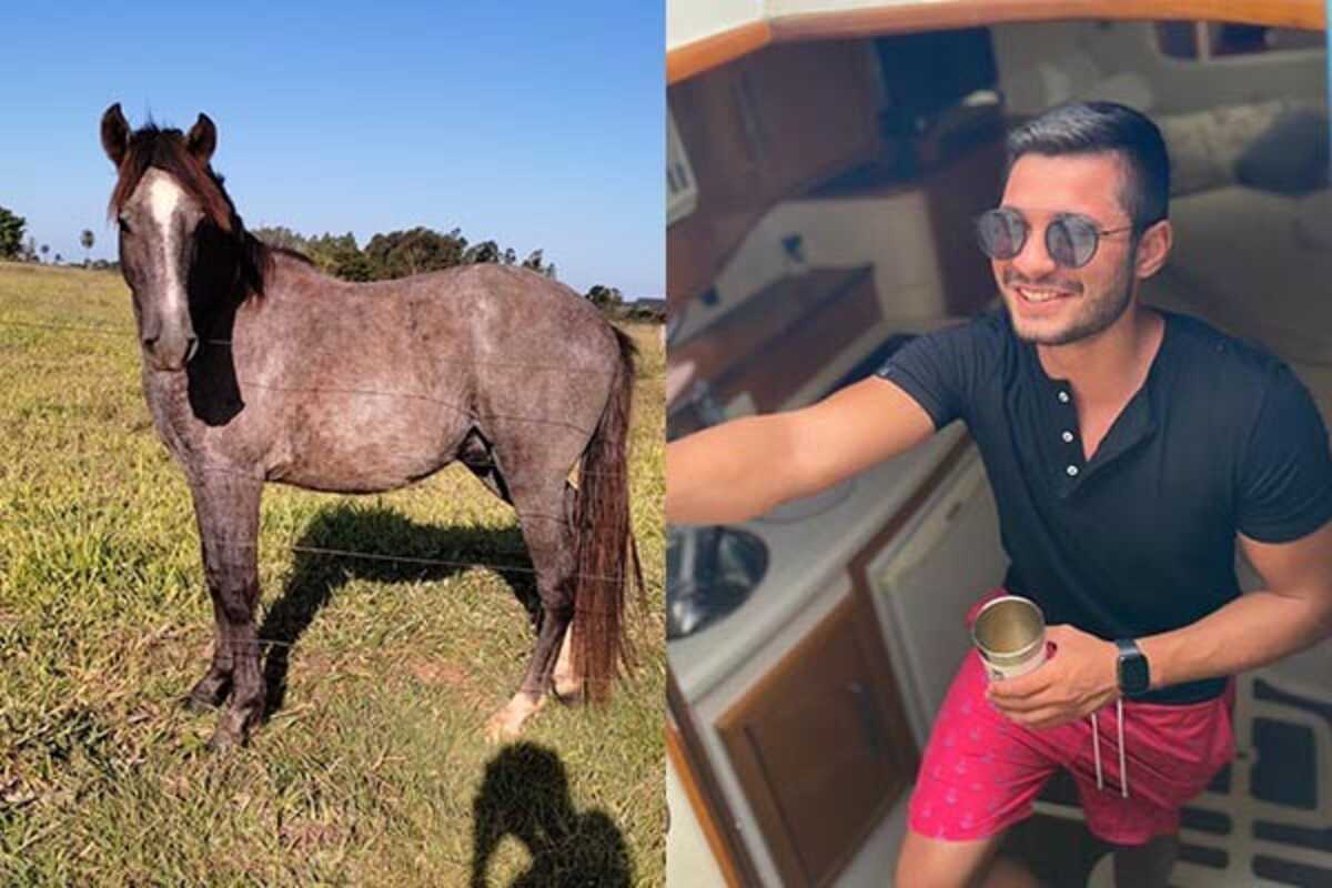 Bêbado, jovem compra cavalo em leilão e só descobre no outro dia: ‘Não sei cuidar do cachorro, imagina de cavalo’