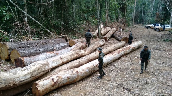 Invasores que atuam em área de desmatamento ilegal protestam contra proibição do uso de maquinários em MT