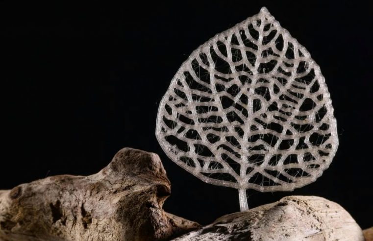 Cientistas criam plástico que vira açúcar quando despejado no meio ambiente